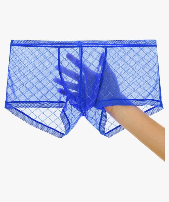 Men's Mesh See Through Boxer Briefs, Sheer Lace Underwear